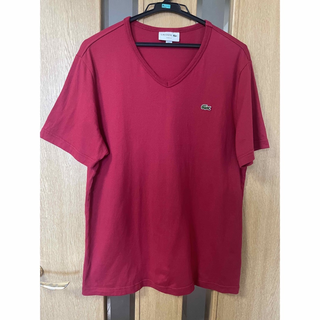 LACOSTE(ラコステ)のラコステLサイズTシャツ レディースのトップス(Tシャツ(半袖/袖なし))の商品写真