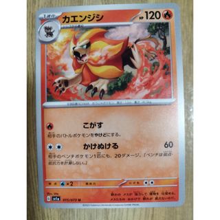 ポケモンカード230(シングルカード)