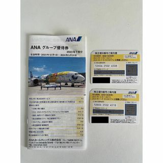 エーエヌエー(ゼンニッポンクウユ)(ANA(全日本空輸))のANA株主優待券2枚　2024年11月30日(その他)