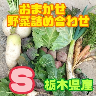 【数量・期間限定】おまかせ野菜詰め合わせBOX【Ｓ】