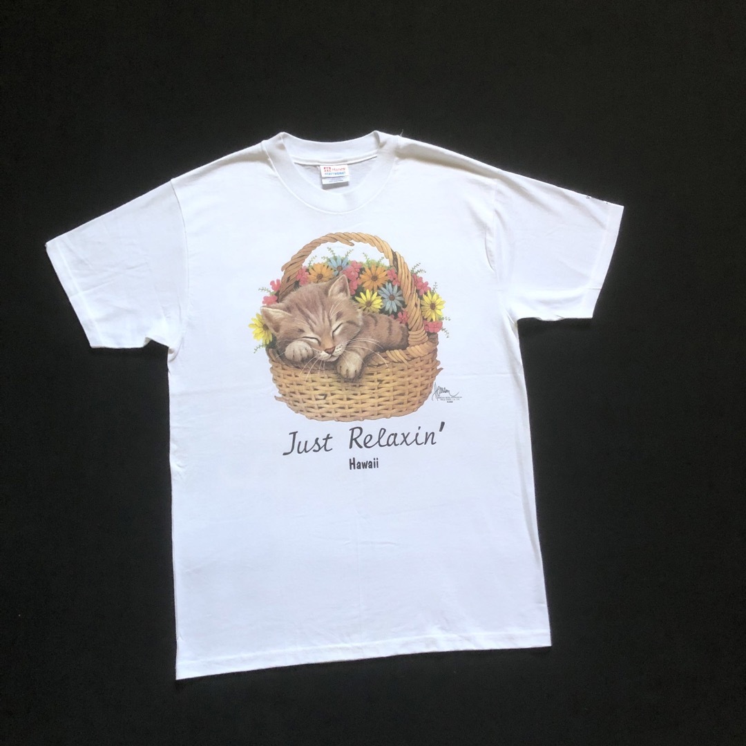 ART VINTAGE(アートヴィンテージ)の90s アニマルプリント 猫 Tシャツ ネコ ねこ ビンテージ 昔 hawaii メンズのトップス(Tシャツ/カットソー(半袖/袖なし))の商品写真