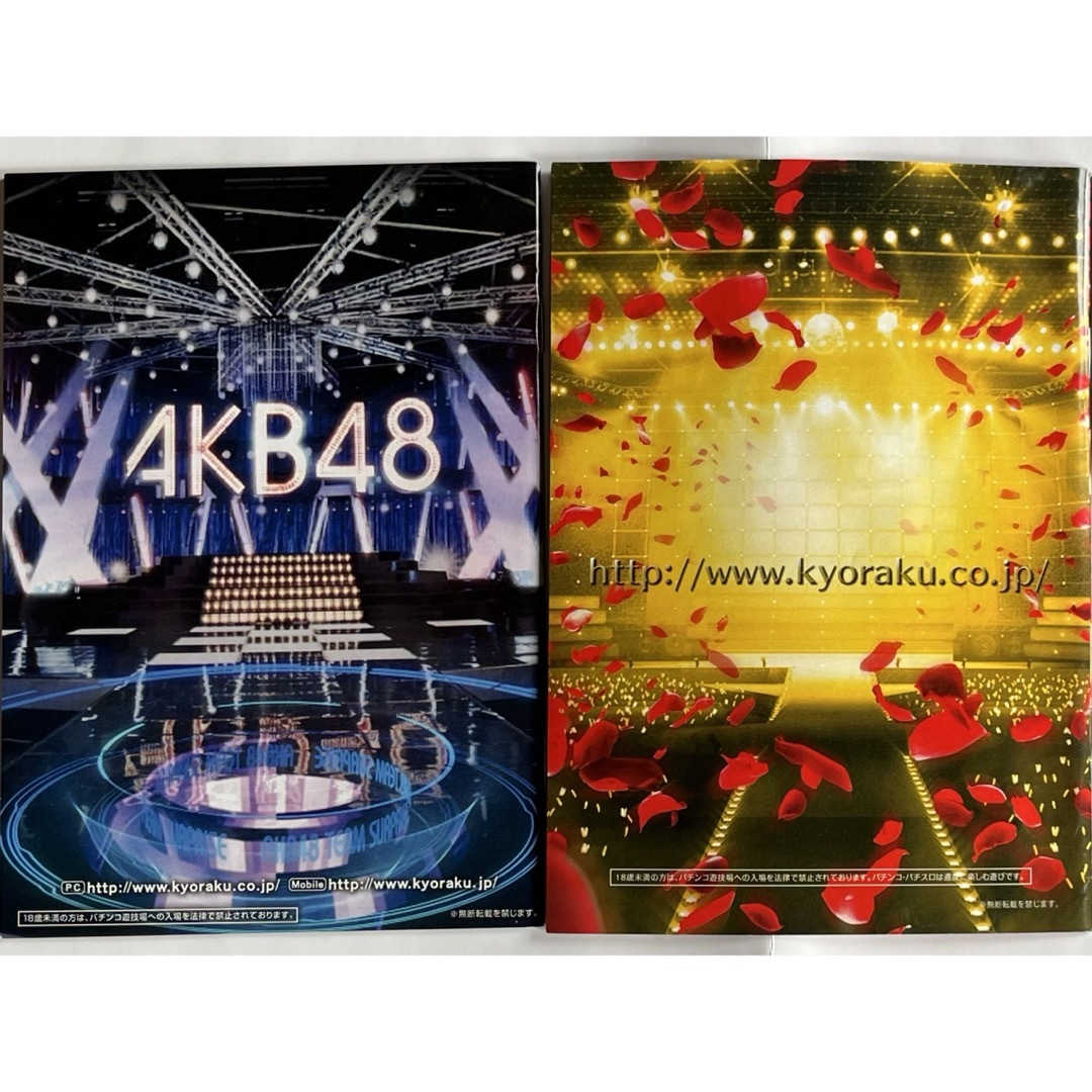 AKB48(エーケービーフォーティーエイト)の【レア非売品】AKB48チームサプライズ パンフ2種類（レアステッカー付き） エンタメ/ホビーのタレントグッズ(アイドルグッズ)の商品写真