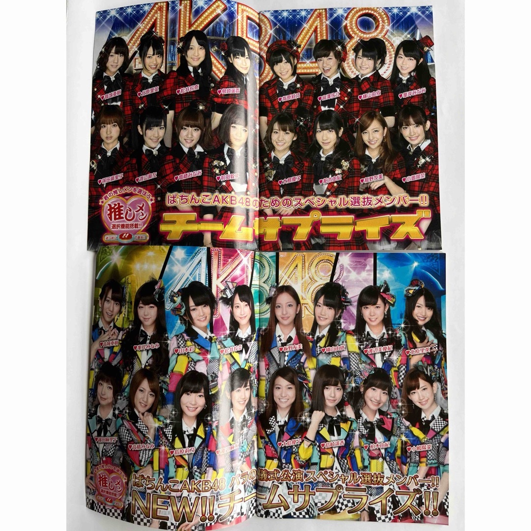 AKB48(エーケービーフォーティーエイト)の【レア非売品】AKB48チームサプライズ パンフ2種類（レアステッカー付き） エンタメ/ホビーのタレントグッズ(アイドルグッズ)の商品写真