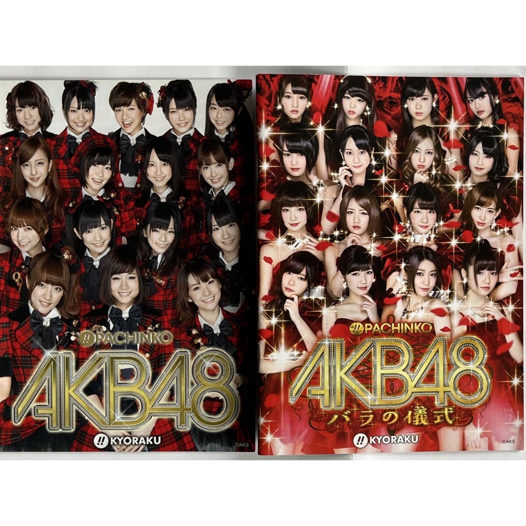 AKB48(エーケービーフォーティーエイト)の【レア非売品】AKB48チームサプライズ パンフ2種類（レアステッカー付き） エンタメ/ホビーのタレントグッズ(アイドルグッズ)の商品写真