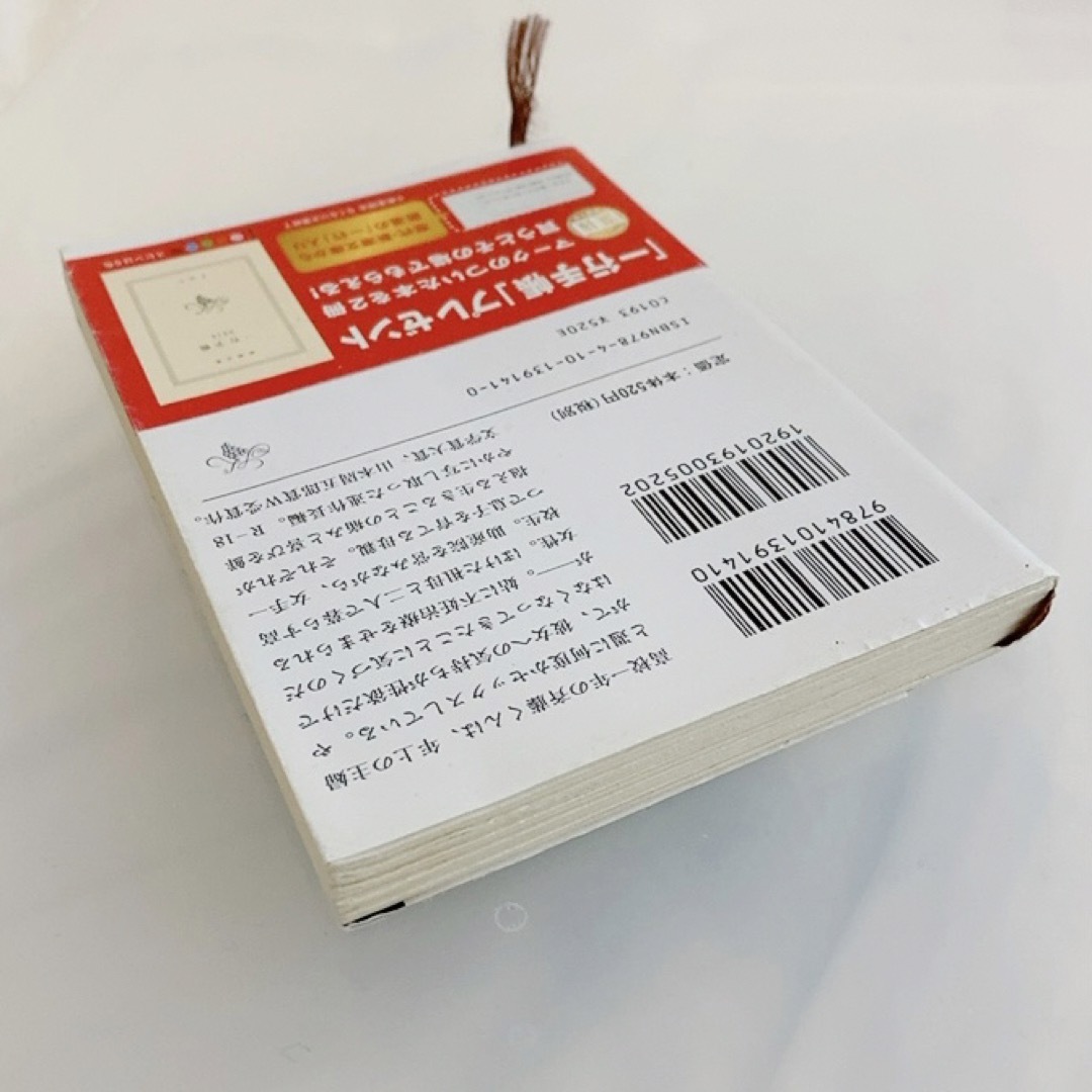 R-18文学賞大賞「このふがいない僕は空を見た」 窪 美澄 エンタメ/ホビーの本(文学/小説)の商品写真