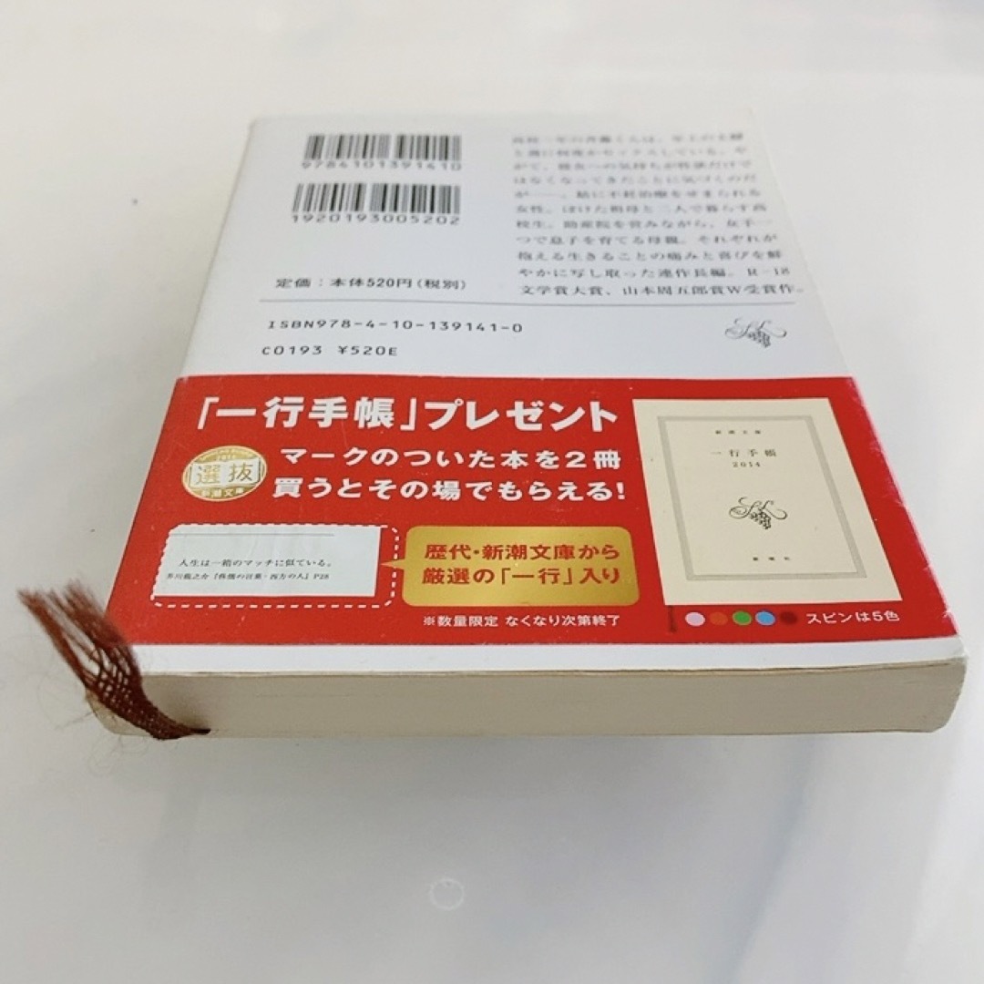 R-18文学賞大賞「このふがいない僕は空を見た」 窪 美澄 エンタメ/ホビーの本(文学/小説)の商品写真