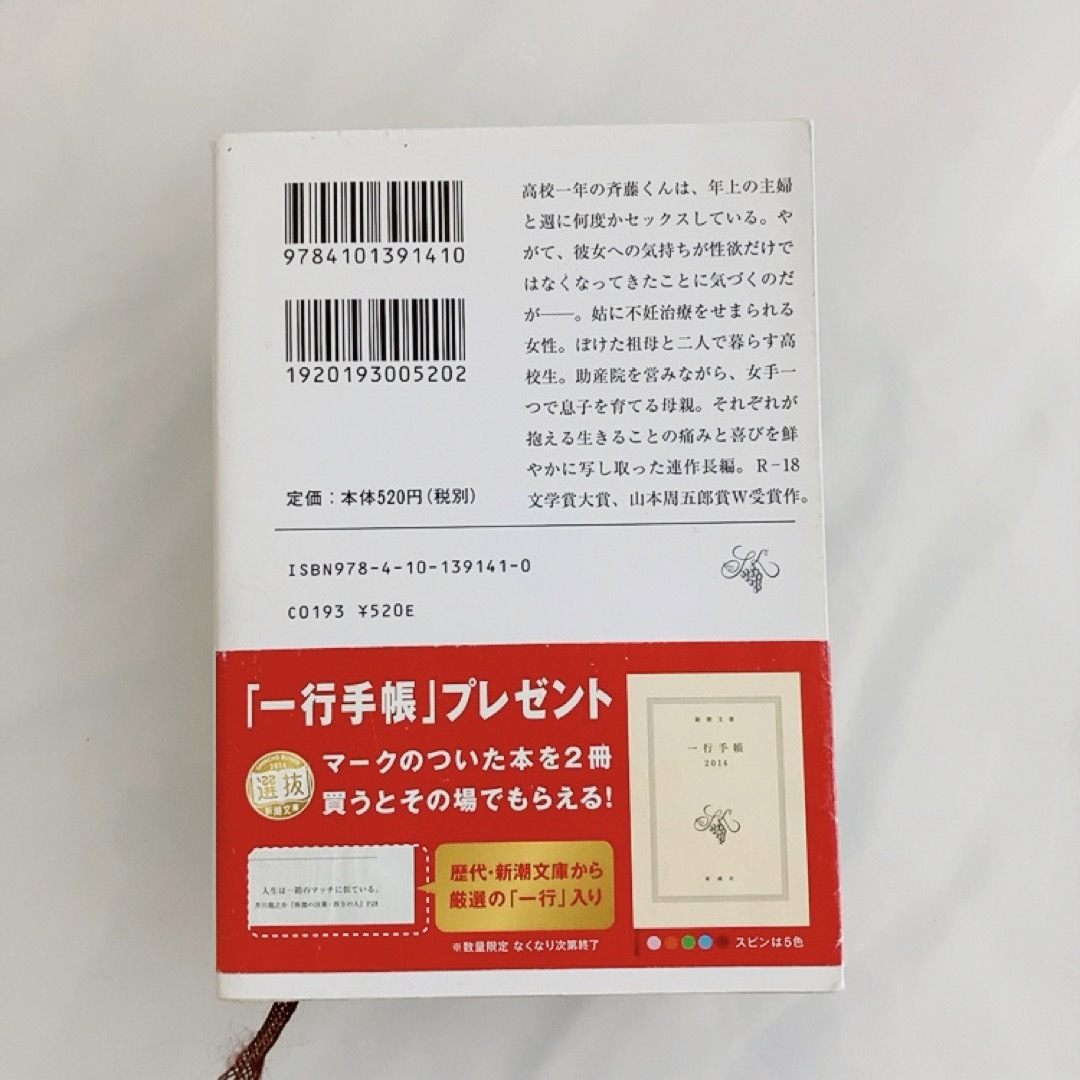 R-18文学賞大賞「このふがいない僕は空を見た」 窪 美澄 エンタメ/ホビーの本(文学/小説)の商品写真