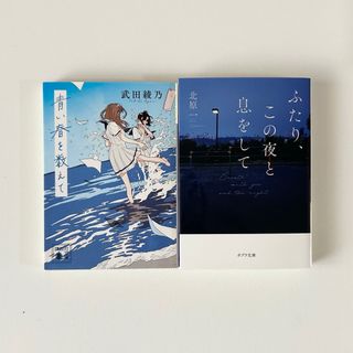 文庫本　まとめ売り 2冊セット(文学/小説)