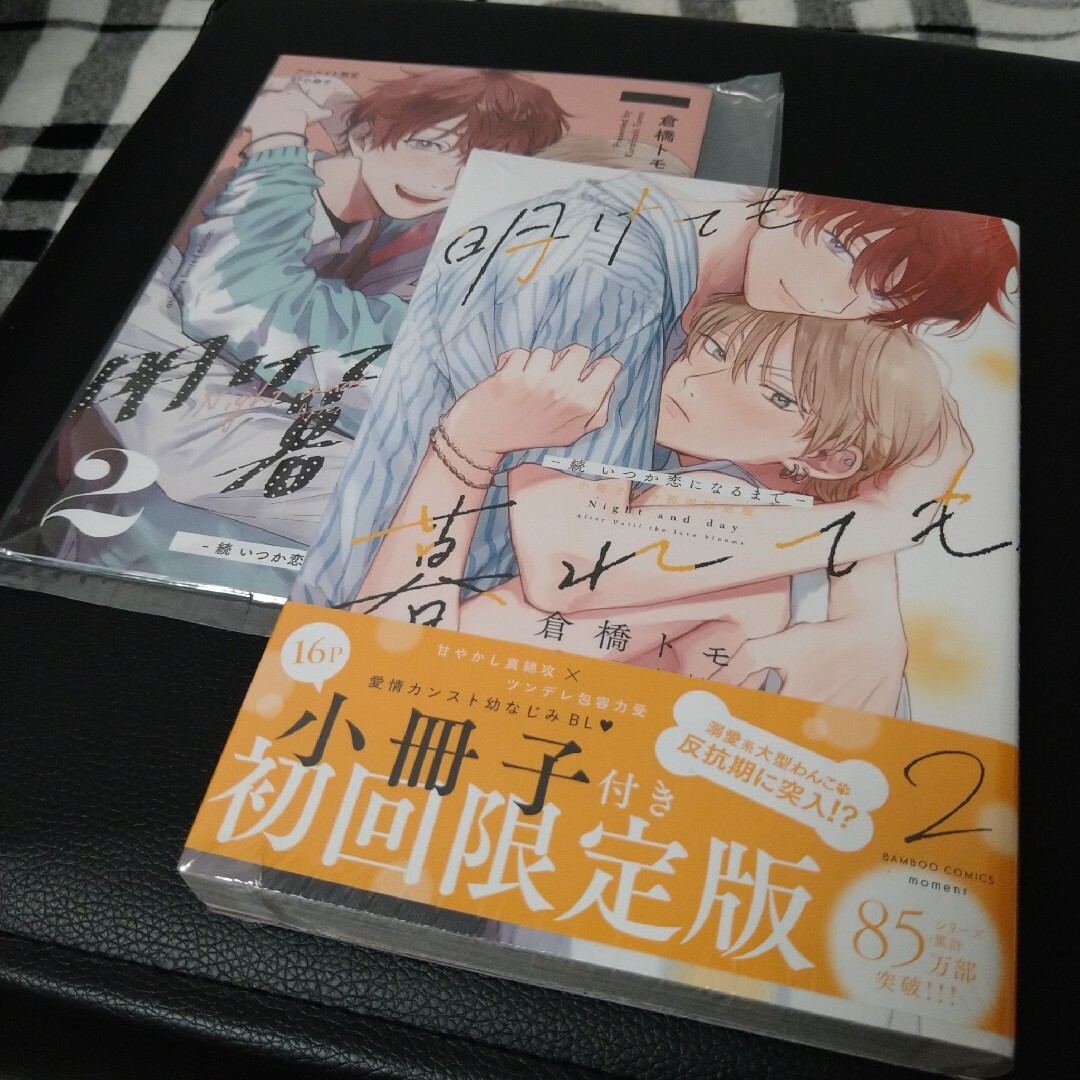 明けても暮れても-続いつか恋になるまで-2 エンタメ/ホビーの漫画(ボーイズラブ(BL))の商品写真