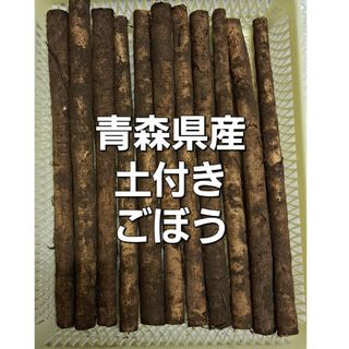 青森県産ごぼう(野菜)