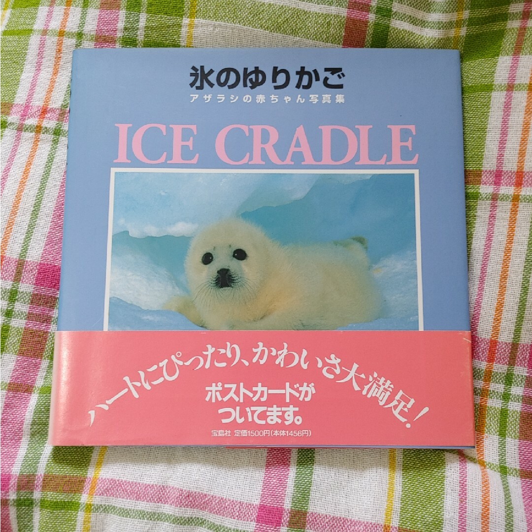 宝島社(タカラジマシャ)の氷のゆりかご アザラシの赤ちゃん写真集 ICE CRADLE エンタメ/ホビーの本(アート/エンタメ)の商品写真