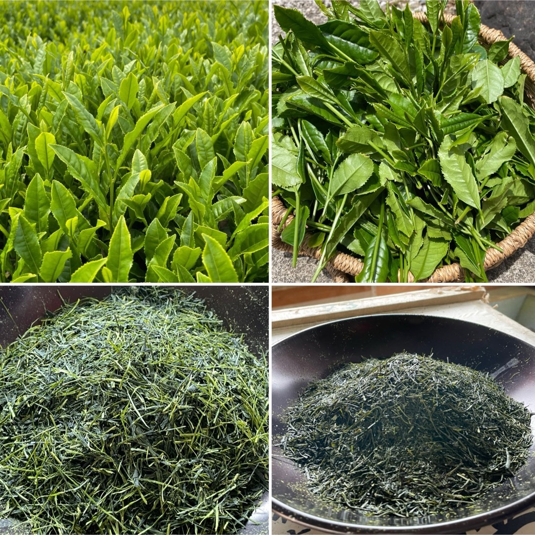 狭山茶(サヤマチャ)の【狭山茶】煎茶&上煎茶(令5年産)一番茶☆味くらべ☆深蒸し緑茶☆日本茶☆お茶 食品/飲料/酒の飲料(茶)の商品写真