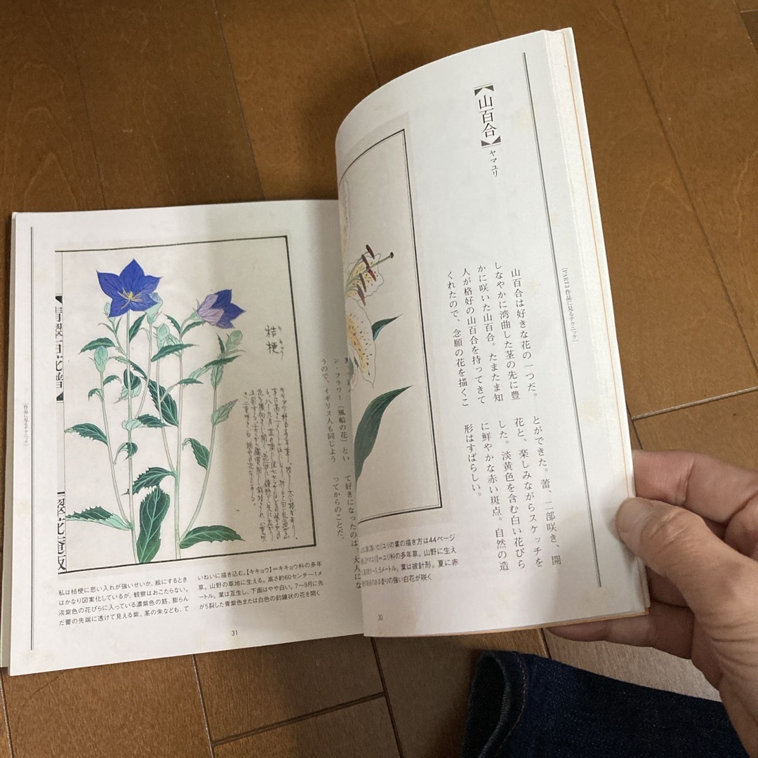 植物画プロの裏ワザ エンタメ/ホビーの本(その他)の商品写真
