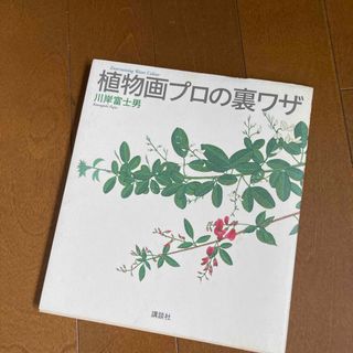 植物画プロの裏ワザ(その他)