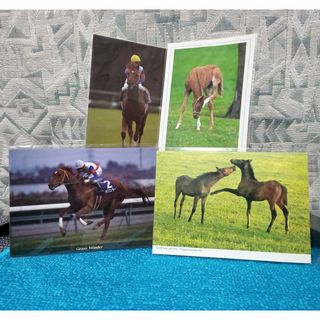 【G1ホース】競走馬 ポストカード 4枚セット【ハガキ 絵葉書】(使用済み切手/官製はがき)