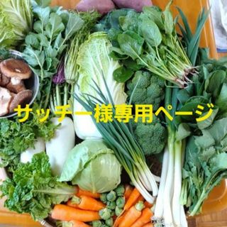 サッチー様専用ページです(野菜)