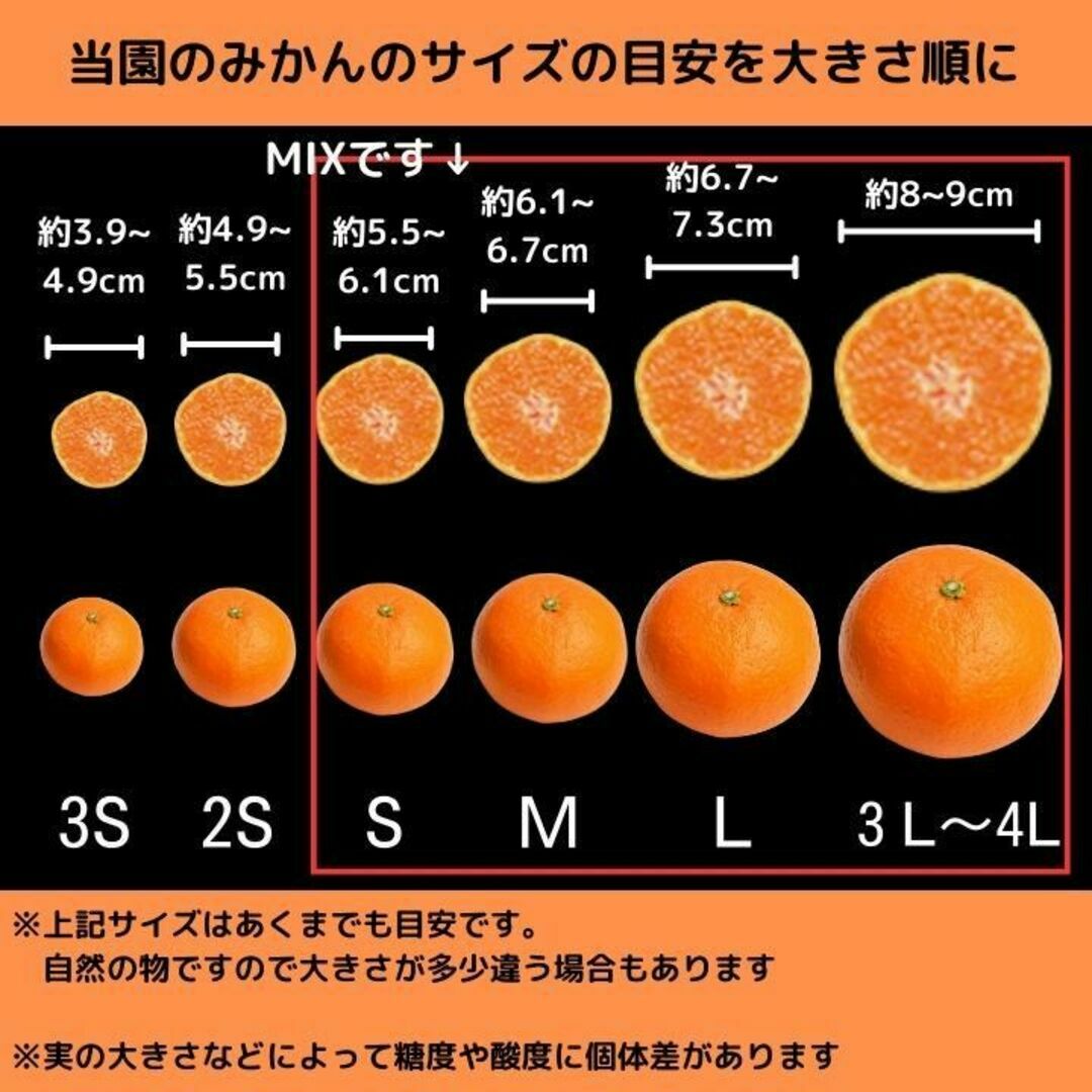 デコポン(不知火) 訳あり 5kg 和歌山 甘くておいしい 食べ応え 旬 みかん 食品/飲料/酒の食品(フルーツ)の商品写真