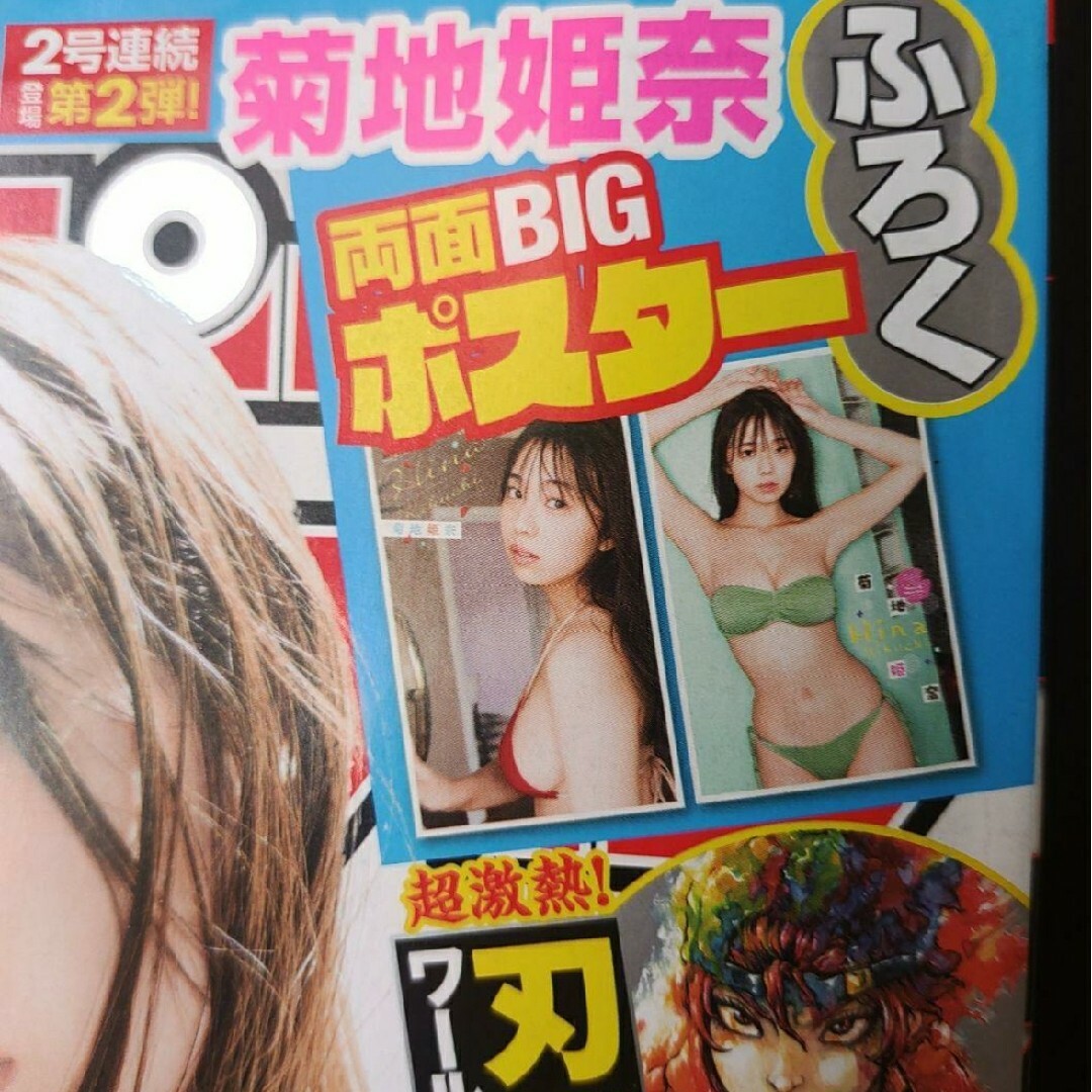 秋田書店(アキタショテン)の菊池姫奈  クリアファイル付き   少年チャンピオン エンタメ/ホビーの雑誌(アート/エンタメ/ホビー)の商品写真