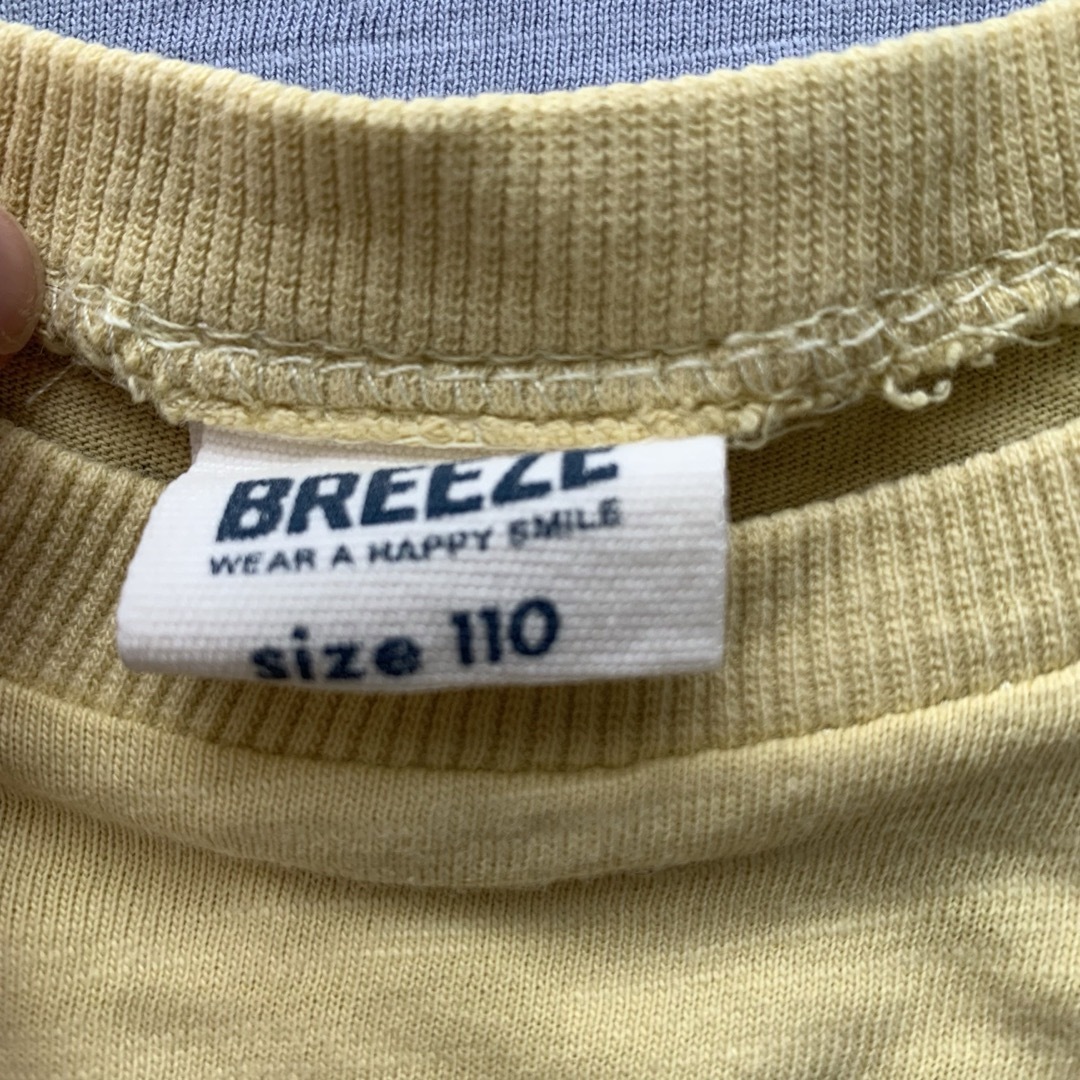 BREEZE(ブリーズ)のbreeze＊恐竜Tシャツ 110 ４枚セット キッズ/ベビー/マタニティのキッズ服男の子用(90cm~)(Tシャツ/カットソー)の商品写真