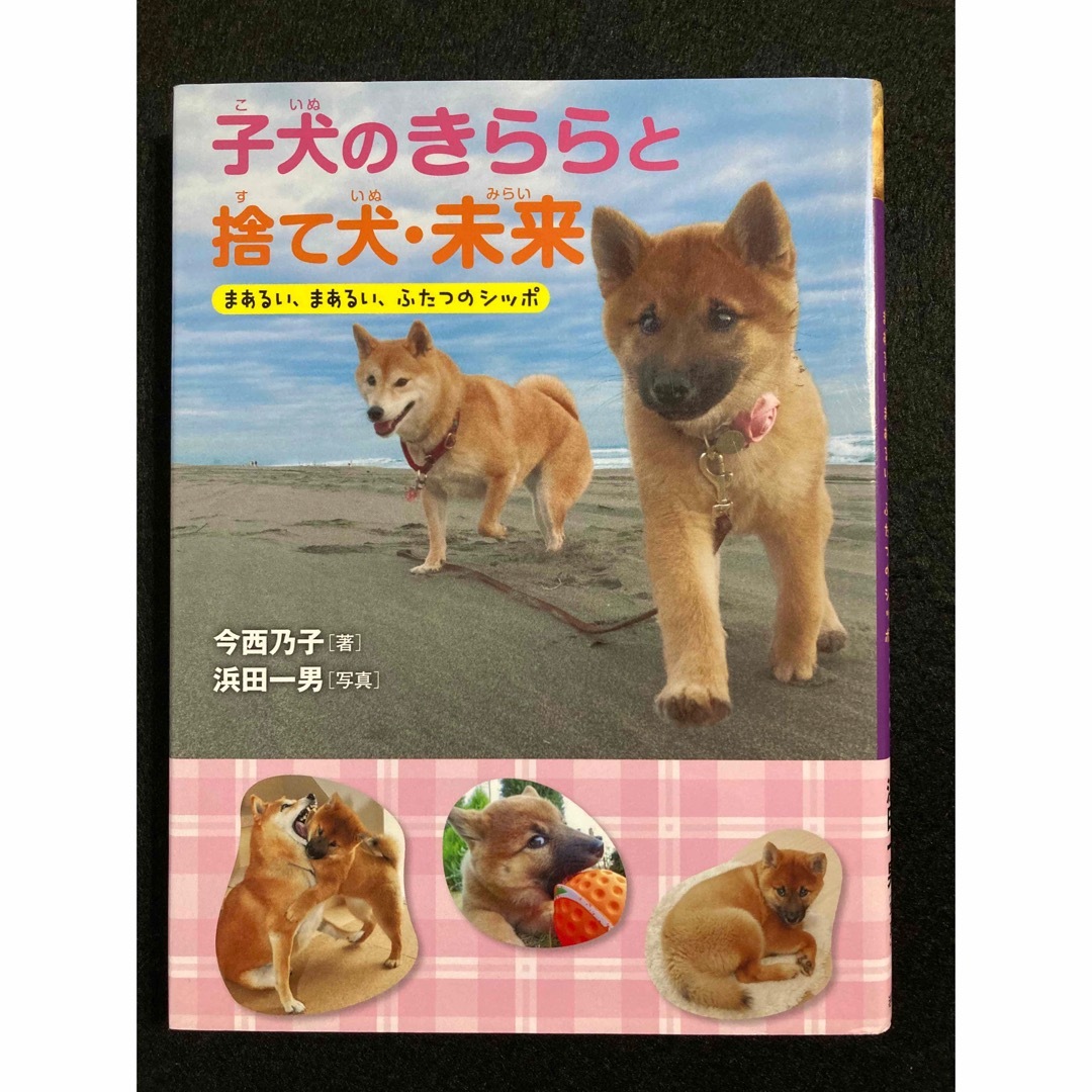 「ゆれるシッポの子犬・きらら」「子犬のきららと捨て犬・未来」2冊セット エンタメ/ホビーの本(絵本/児童書)の商品写真