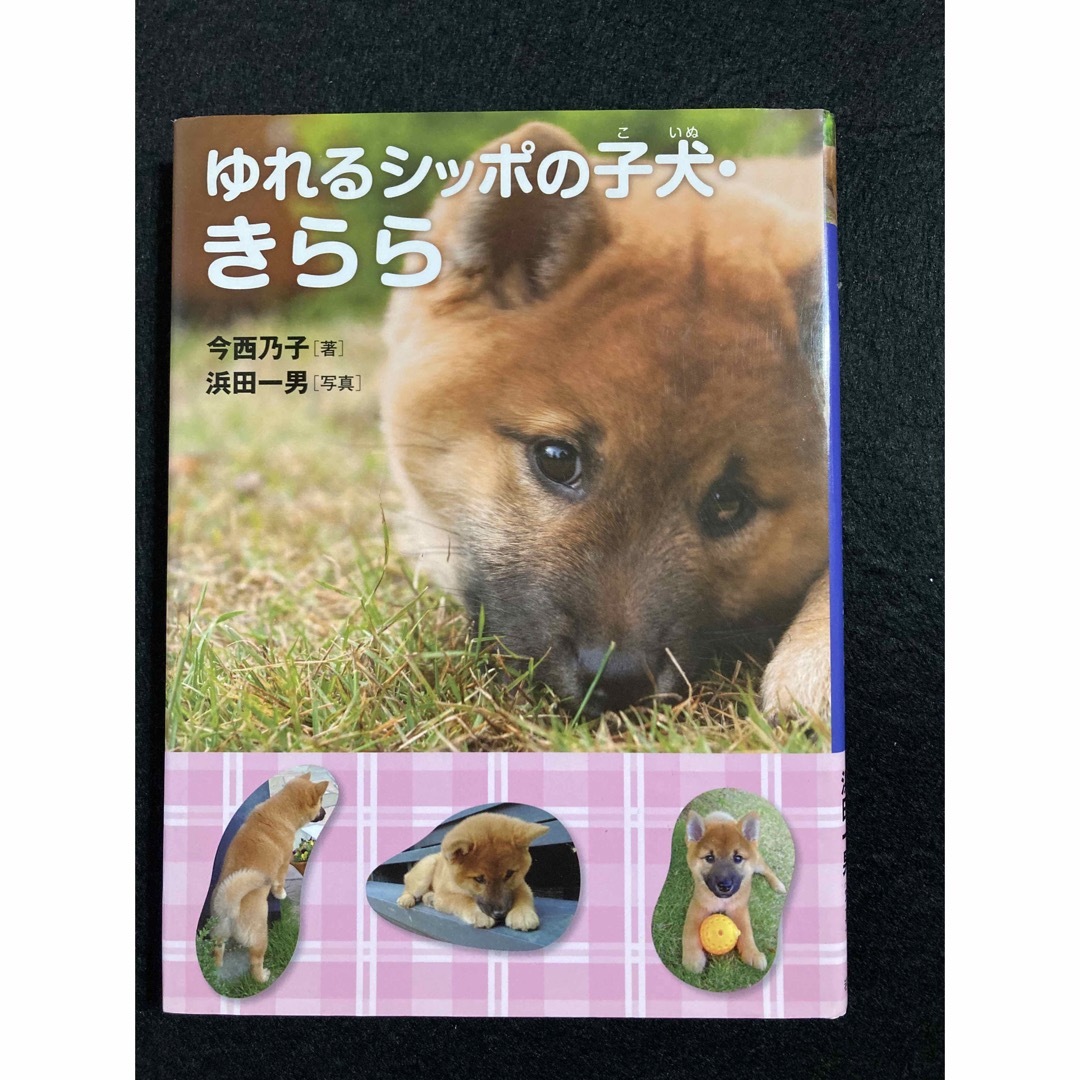 「ゆれるシッポの子犬・きらら」「子犬のきららと捨て犬・未来」2冊セット エンタメ/ホビーの本(絵本/児童書)の商品写真