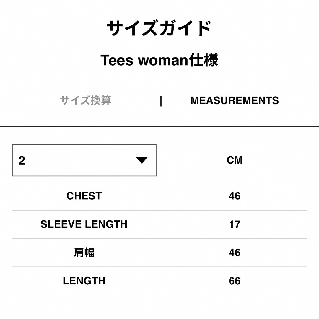 sacai(サカイ)のsacai サカイ コットン ポプリン Tシャツ 未使用 レディースのトップス(Tシャツ(半袖/袖なし))の商品写真