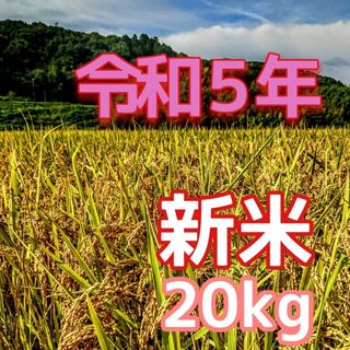 きらく様専用　令和５年産新米 低農薬玄米２０キロ 山田錦の里より農家直送(米/穀物)