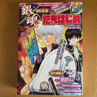 銀魂総集編　たまはじめ　ジャンプファーストガイド(少年漫画)