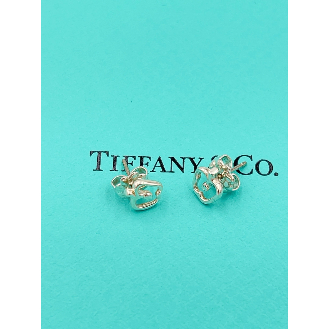 Tiffany & Co.(ティファニー)の値引き不可　美品TIFFANY&Co. ティファニーアップルピアス　りんご　ミニ レディースのアクセサリー(ピアス)の商品写真