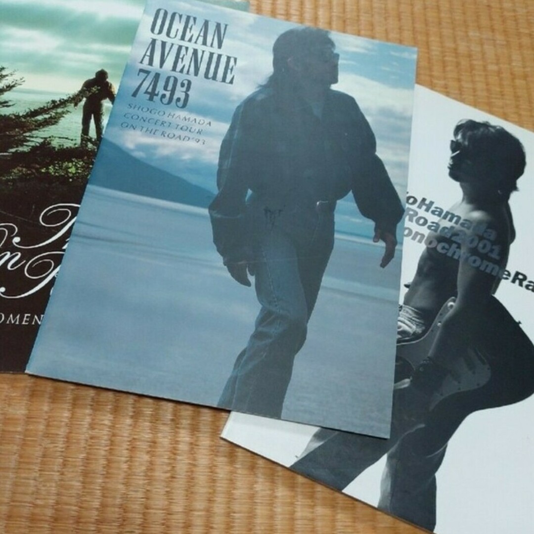 浜田省吾ツアーパンフレット三冊 エンタメ/ホビーのタレントグッズ(ミュージシャン)の商品写真