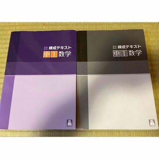 中1テキスト　数学　練成テキスト(語学/参考書)