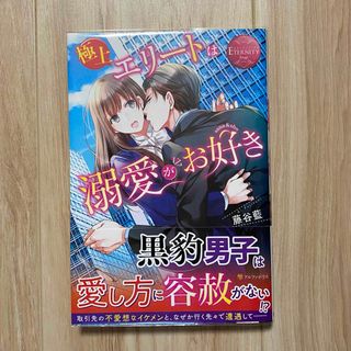 極上エリートは溺愛がお好き(文学/小説)