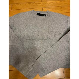 アレキサンダーワン(Alexander Wang)の【極美品】H&M ALEXANDER WANG スウェット(トレーナー/スウェット)