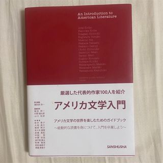 アメリカ文学入門(文学/小説)