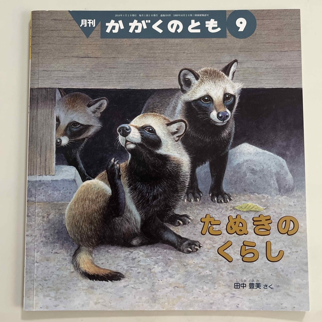 福音館書店(フクインカンショテン)のたぬきのくらし　2018年09月号 エンタメ/ホビーの雑誌(絵本/児童書)の商品写真