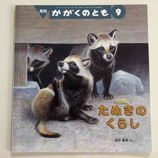 フクインカンショテン(福音館書店)のたぬきのくらし　2018年09月号(絵本/児童書)