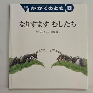 フクインカンショテン(福音館書店)のなりすます　むしたち　2018年12月号(絵本/児童書)