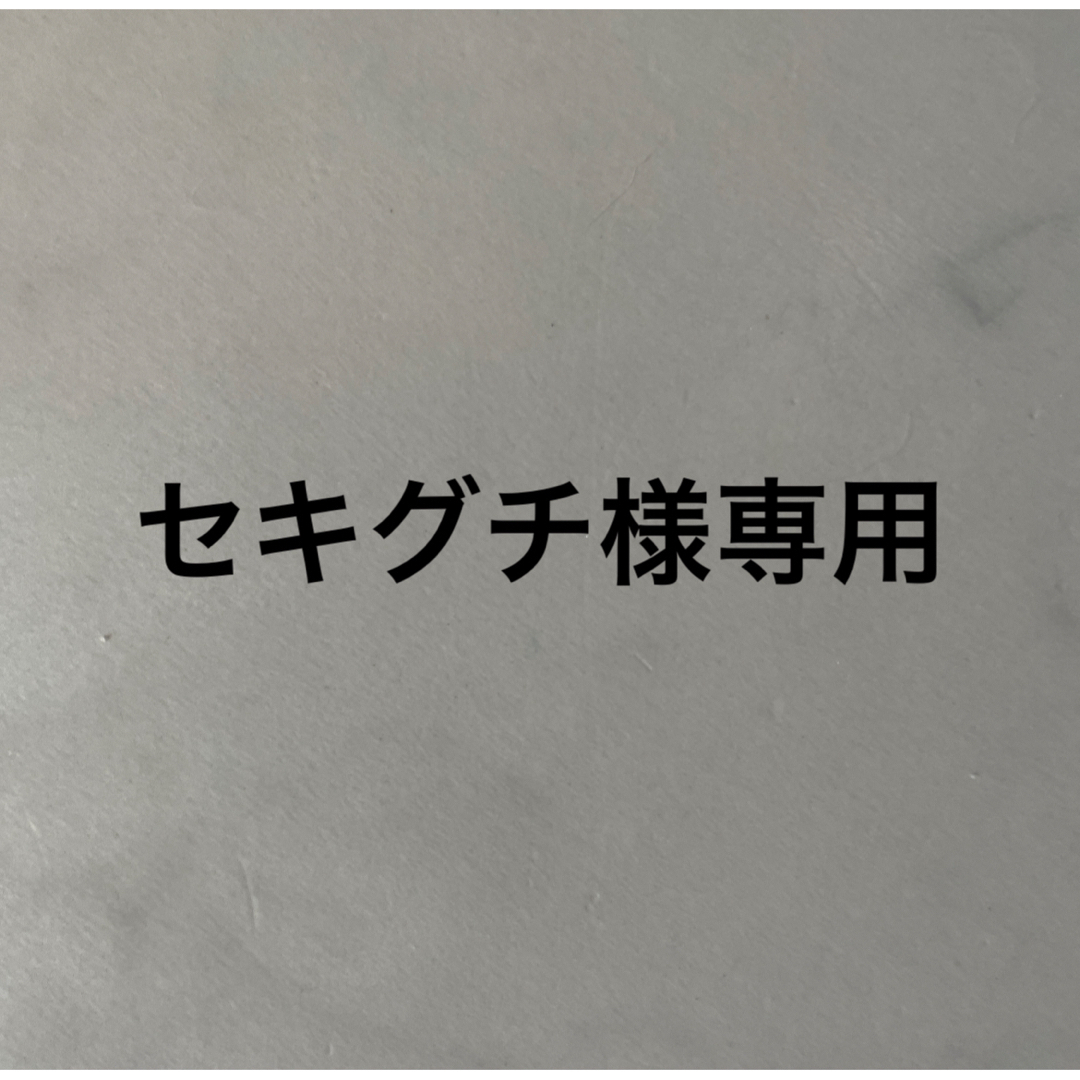 セキグチ様専用　栄光社　エアースペンサー　おまとめ 自動車/バイクの自動車(車内アクセサリ)の商品写真