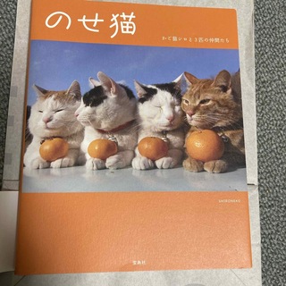 のせ猫(趣味/スポーツ/実用)
