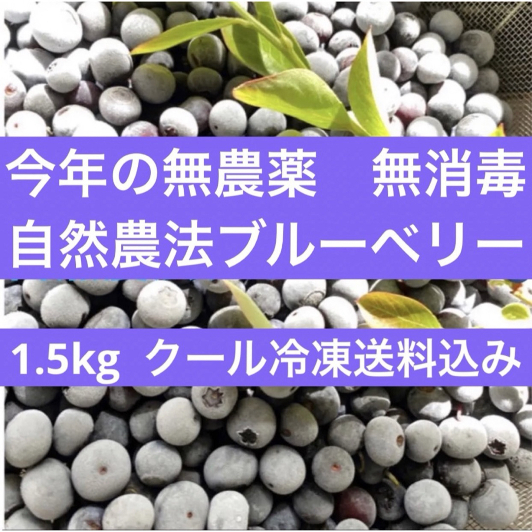 2023年度産　冷凍無農薬ブルーベリー🫐クール冷凍発送📦　1.5kg 食品/飲料/酒の食品(フルーツ)の商品写真