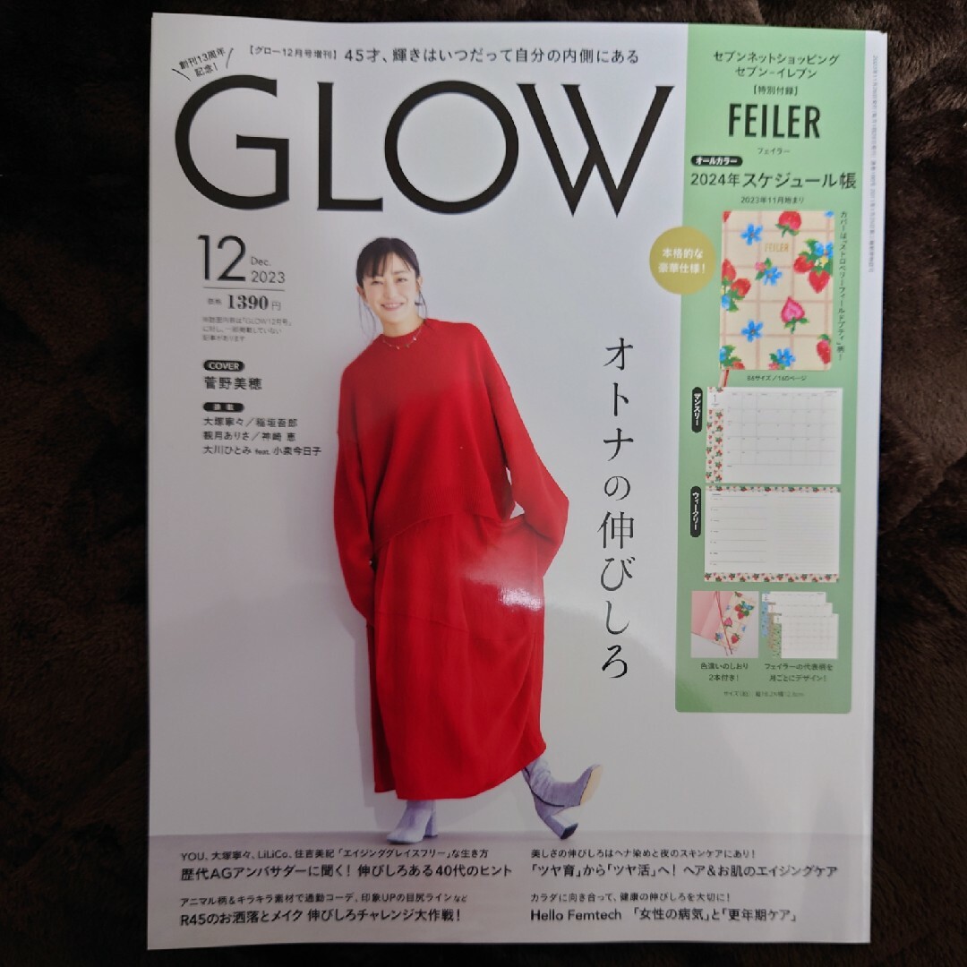 宝島社(タカラジマシャ)のGLOW 2023年12月号増刊　グロー エンタメ/ホビーの雑誌(その他)の商品写真