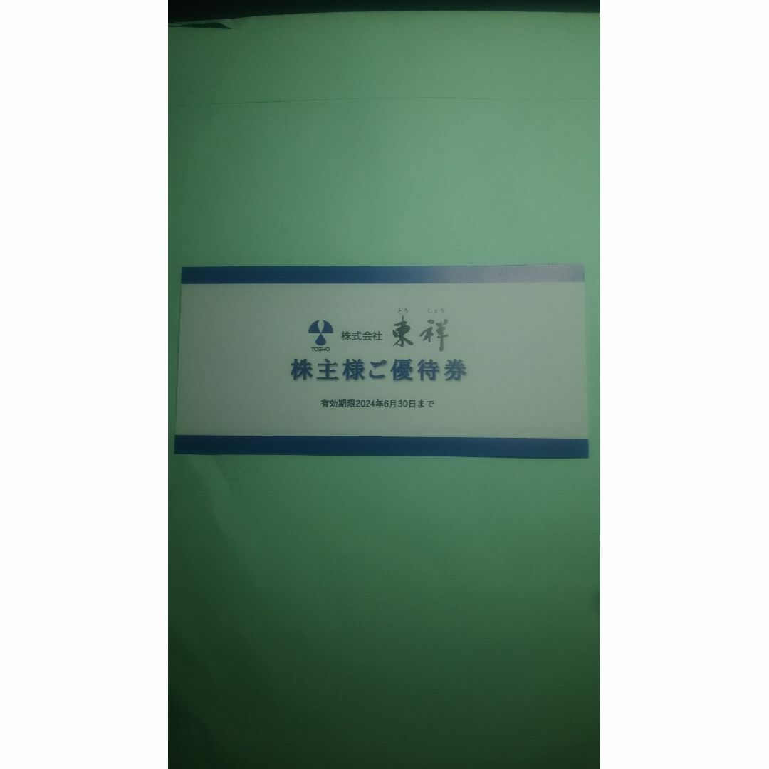 東祥（ホリデイスポ－ツクラブ入会金無料・施設利用料無料など）株主優待券 チケットの施設利用券(フィットネスクラブ)の商品写真