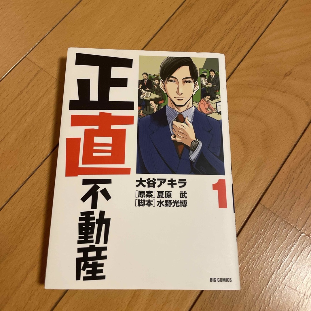 小学館(ショウガクカン)の正直不動産 エンタメ/ホビーの漫画(青年漫画)の商品写真