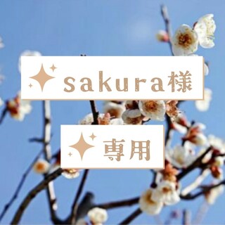sakura様専用②(衣装)