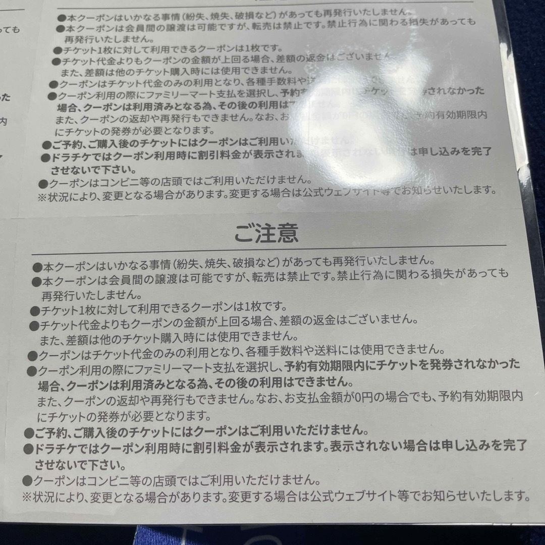 中日ドラゴンズ(チュウニチドラゴンズ)のドラチケ　クーポン　2800x2 チケットのスポーツ(野球)の商品写真