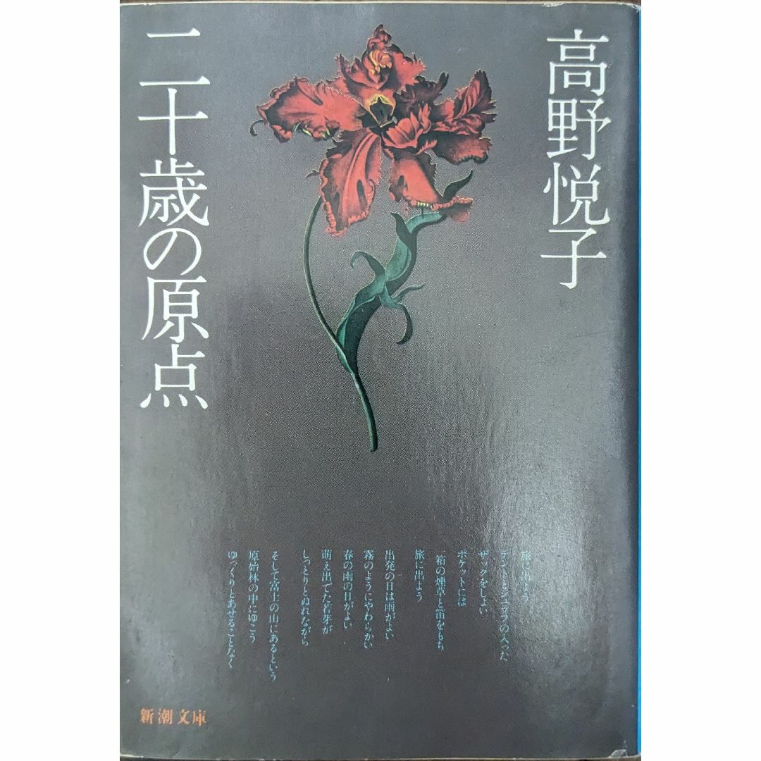 二十歳の原点 エンタメ/ホビーの本(文学/小説)の商品写真