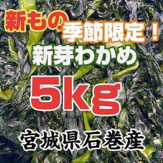 新芽わかめ　宮城県石巻産　新もの！(その他)