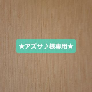 ★アズサ♪様専用★(その他)