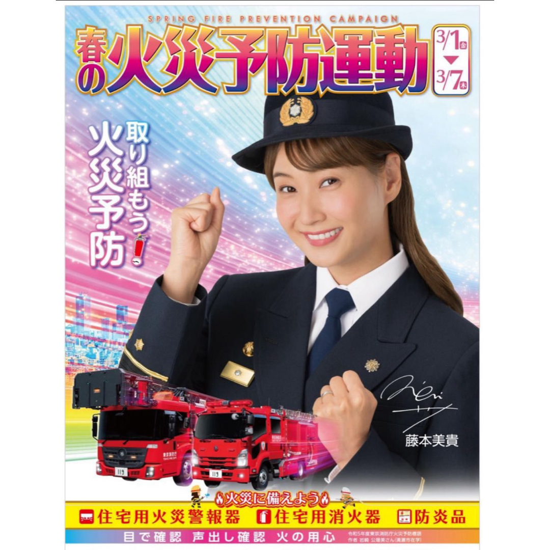 【非売品・新品】藤本美貴 B2 ポスター エンタメ/ホビーのタレントグッズ(アイドルグッズ)の商品写真