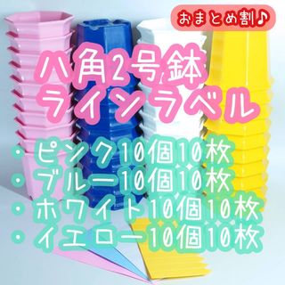 八角2号鉢 4色 40個 ラインラベル 小 4色 40枚 エケベリア 多肉植物 (プランター)